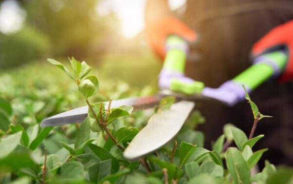 Co znajdziemy w ofercie firmy Garden Warmia?